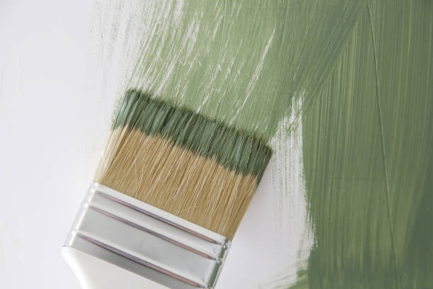 Best Mold Odor Removal Services  in Shannon, GA