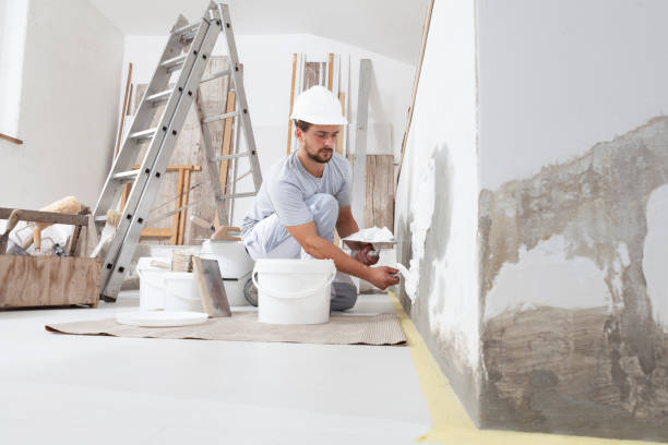 Best Mold Prevention Services  in Shannon, GA