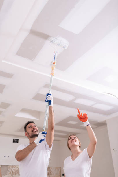 Best Basement Mold Removal  in Shannon, GA