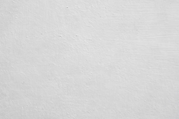 Best Black Mold Removal  in Shannon, GA