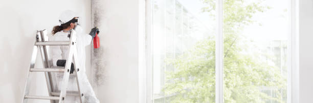 Best Commercial Mold Inspection  in Shannon, GA