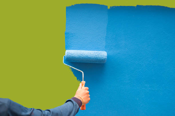 Best Post-Construction Mold Inspection  in Shannon, GA